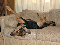 Drea Dog