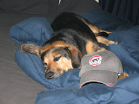 Drea Dog