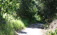 Foothill Bell Ride Logged 011.JPG Photo
