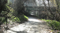 Los Gatos Trail 098.JPG
