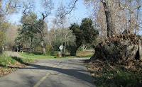 Los Gatos Trail 201.JPG