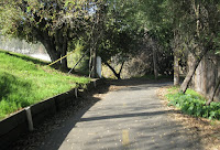 Los Gatos Trail 216.JPG