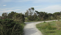 Palo Alto Loop From Terminal Dr 093.JPG