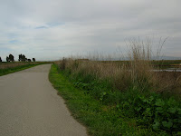 Shoreline South Bike Trail 062.JPG Photo