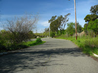 2 Bridge Ride 117.JPG Photo