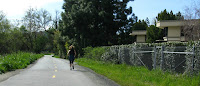 Los Gatos Creek Logged 007.JPG Photo