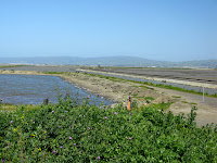 Home to Alviso Loop Logged 063.JPG Photo