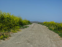 Home to Alviso Loop Logged 109.JPG Photo