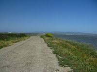 Home to Alviso Loop Logged 126.JPG Photo