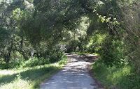 Sunol Regional Wilderness Hike 004.JPG Photo