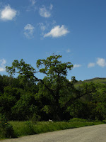 Sunol Regional Wilderness Hike 020.JPG Photo