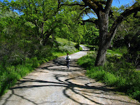 Sunol Regional Wilderness Hike 032.JPG Photo