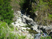 Sunol Regional Wilderness Hike 075.JPG Photo