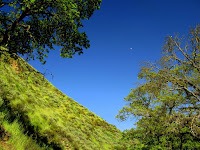 Sunol Regional Wilderness Hike 152.JPG Photo