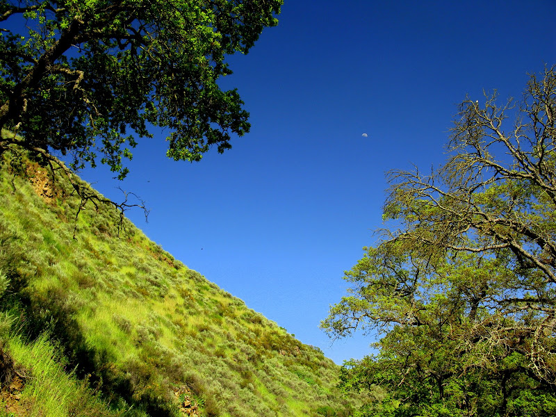 Sunol Regional Wilderness Hike 152.JPG Photo