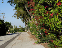 Home Ride 10 22 09 026.JPG Photo