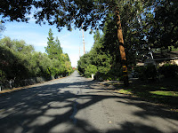 FoothillLogged 002.JPG Photo