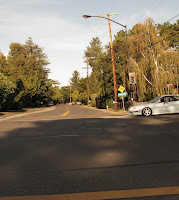 FoothillLogged 004.JPG Photo