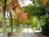 Dell Ave Pics South 036.JPG