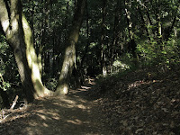 Fall Creek 014.JPG (Felton, California, United States) Photo