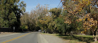 Foothill Ride Logged 023.JPG Photo
