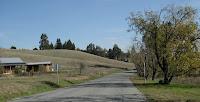 Foothill Ride Logged 017.JPG Photo