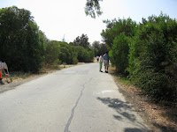 Shoreline and Palo Alto Bike Ride 011.JPG Photo