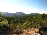Big Basin Redwoods State Park 001.JPG Photo