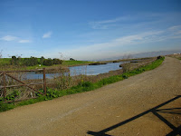 BayLands to BayFront 35M Bike Ride 057.JPG Photo