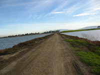 BayLands to BayFront 35M Bike Ride 071.JPG Photo