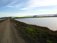 BayLands to BayFront 35M Bike Ride 076.JPG Photo