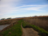 BayLands to BayFront 35M Bike Ride 093.JPG Photo