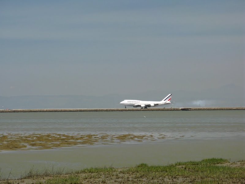 Foster City to SFO an Back 156.JPG Photo