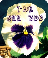 The Bee Zoo