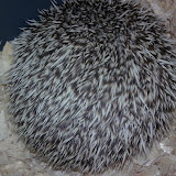 15032010862.jpg