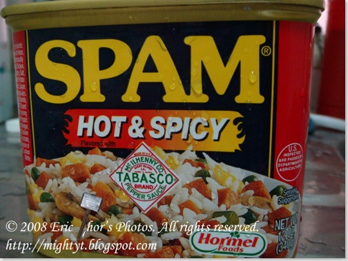 SPAM 04 640 x 640
