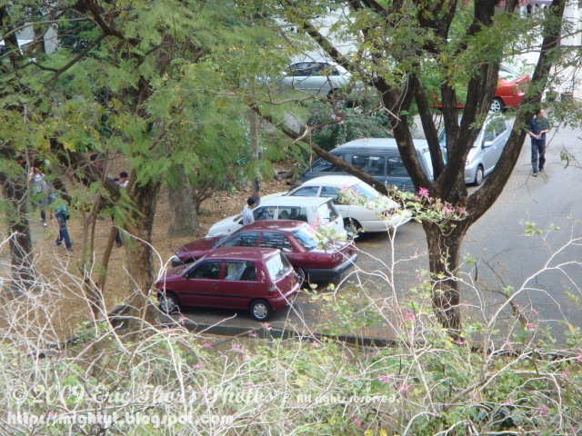 [DSC03798 640 x 640[3].jpg]