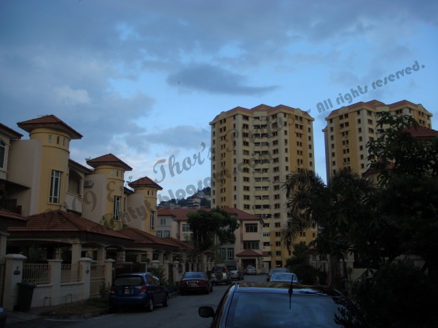 [DSC03829 640 x 640[3].jpg]