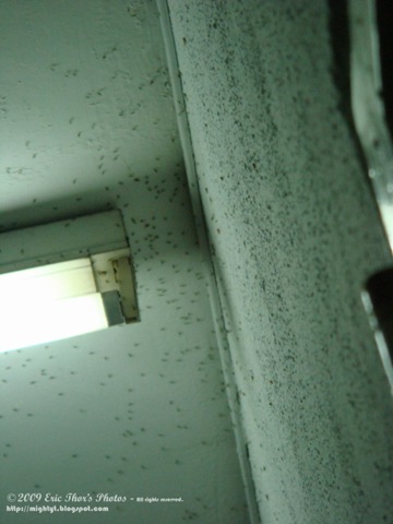 [DSC04264 640 x 640[3].jpg]