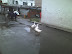 09030936 (Medium).jpg