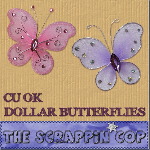 SC_Dollarbutterflies
