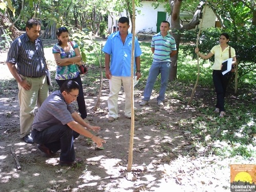 [curso_transplatio_chines2[3].jpg]