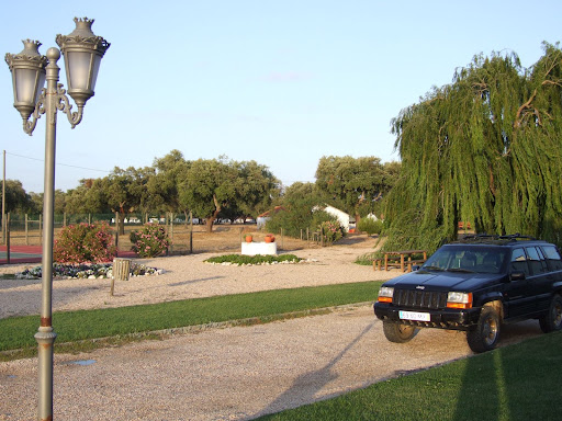 DSCF2877.JPG