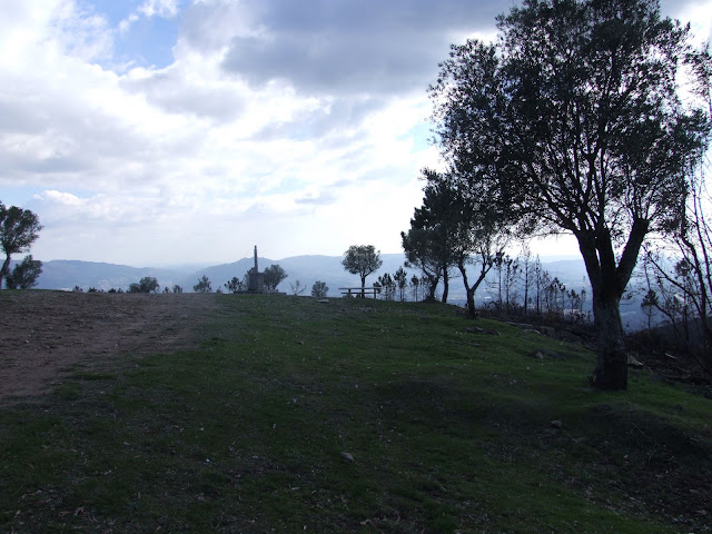 DSCF8869.JPG