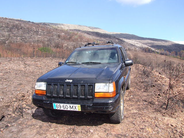 DSCF8859.JPG