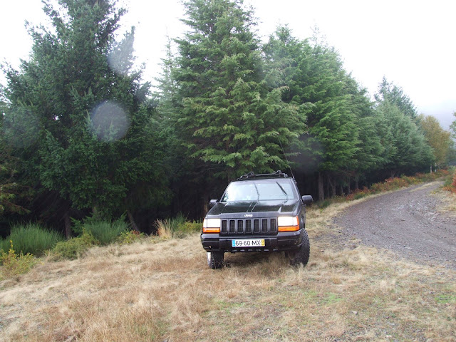 DSCF9224.JPG