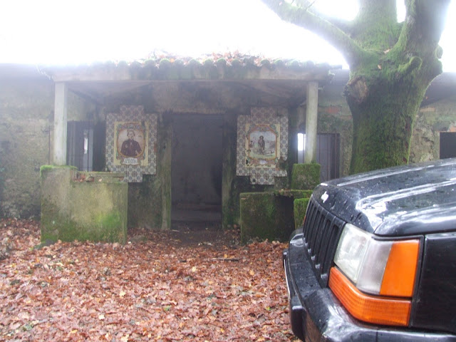DSCF9261.JPG.