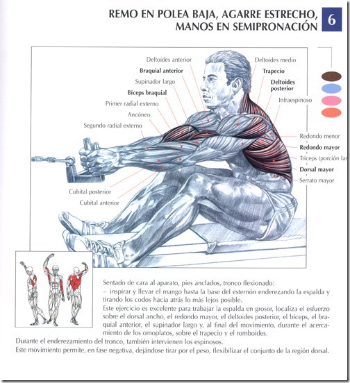 prima frotar y tirar sentado en la cara prima frotar y tirar sentado en la cara