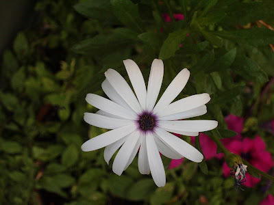 IMAG0001.JPG