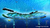 Picture of Energy Island